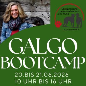 Ticket Galgo Bootcamp 2026 - aktive Teilnahme mit Hunde(n)