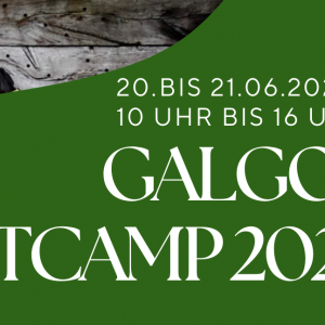 Ticket Galgo Bootcamp 2026 - passive Teilnahme