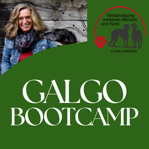 Galgo Bootcamp September 2026